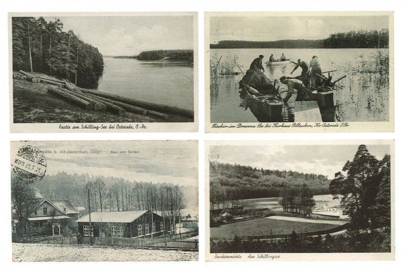 Vier historische Postkarten mit Seemotiven: Baumstämme am Ufer, Männer stoßen Boote durchs Schilf, rustikale Holzhäuser, geschwungene Uferbucht.