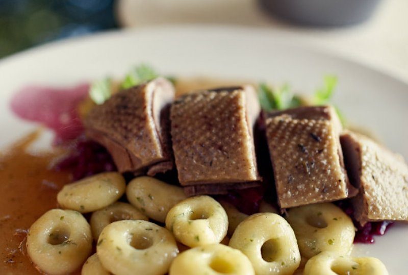 Knusprige Entenbrustscheiben mit Kartoffelklößchen, geschmortem Rotkohl und würziger Bratensauce auf weißem Teller