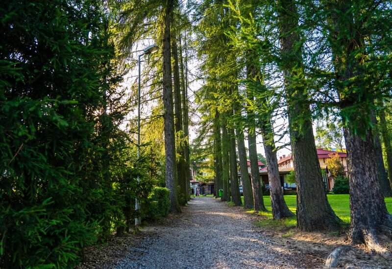 Kiesweg zwischen hohen Kiefern führt zu einem sonnigen Gasthof mit rotem Dach, gepflegtem Rasen und spazierenden Gästen.