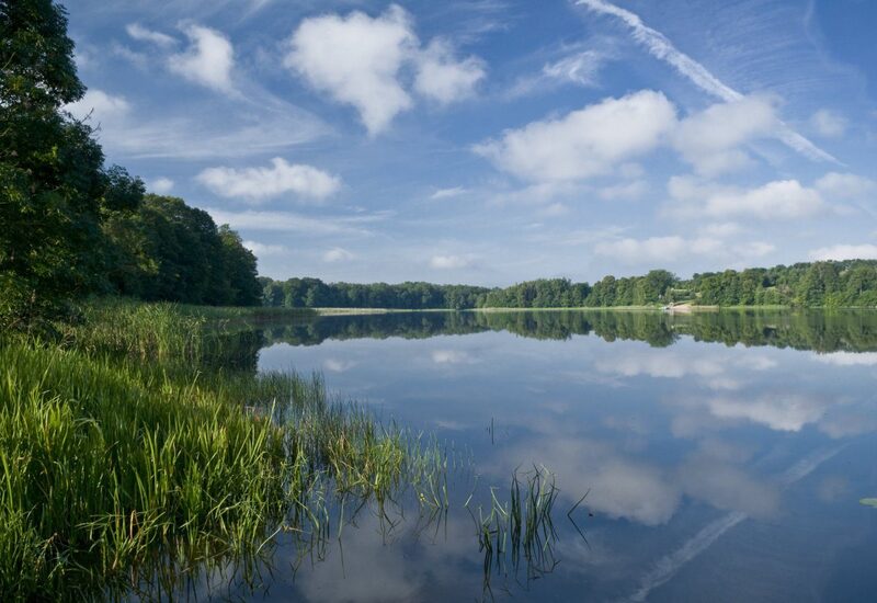 Ruhiger See mit grasigem Ufer, baumbestandener Horizont und blauem Himmel, der sich im spiegelglatten Wasser spiegelt