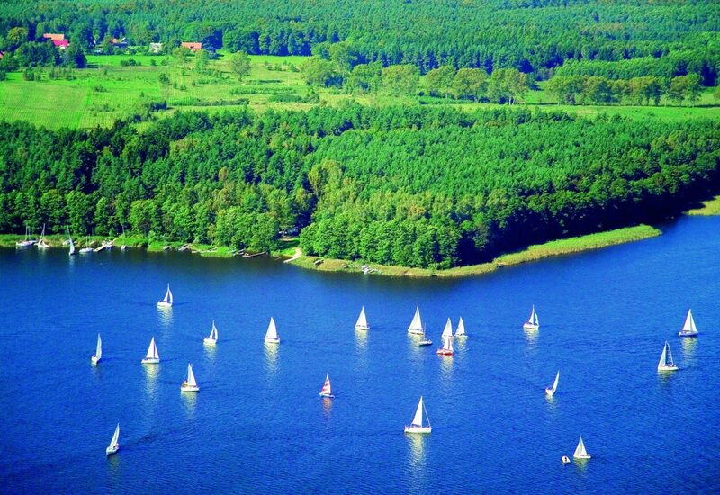 Segelboote auf blauem See vor dichtem Kiefernwald und grünen Feldern.