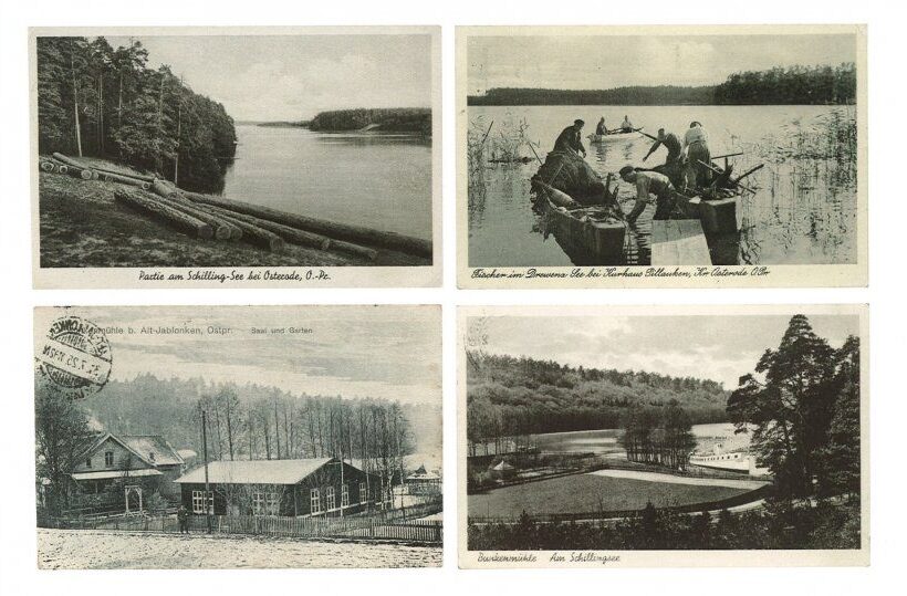 Vier historische Postkarten mit Seemotiven: Baumstämme am Ufer, Männer stoßen Boote durchs Schilf, rustikale Holzhäuser, geschwungene Uferbucht.