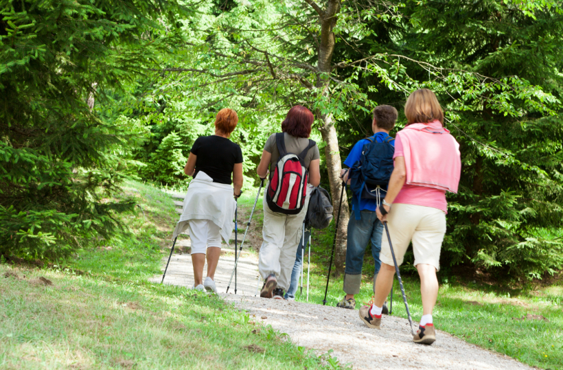 Guests hiking a shaded forest trail with backpacks and trekking poles — ideal for hotel nature walks and outdoor wellness.