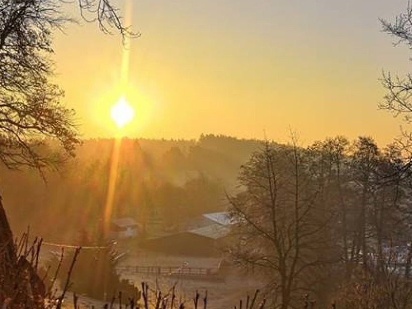Goldener Sonnenaufgang über frostiger Waldlandschaft mit entferntem Stall und Paddock – ruhige Landgut-Aussicht, ideal für Morgenspaziergänge.