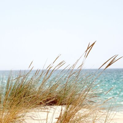 Baltic Sea - view from the beach