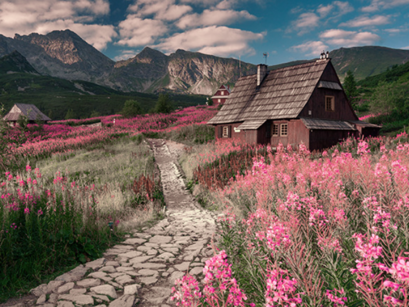 كوخ جبلي خشبي بجانب ممر مرصوف، محاط بأزهار برية وردية وإطلالات على قمم جبلية عالية.