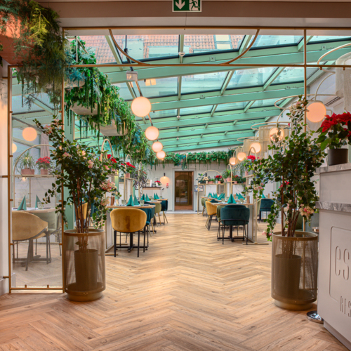 Restauracja z przeszkleniem dachowym, zielonymi roślinami i wygodnymi kolorowymi krzesłami przy nakrytych stołach.
