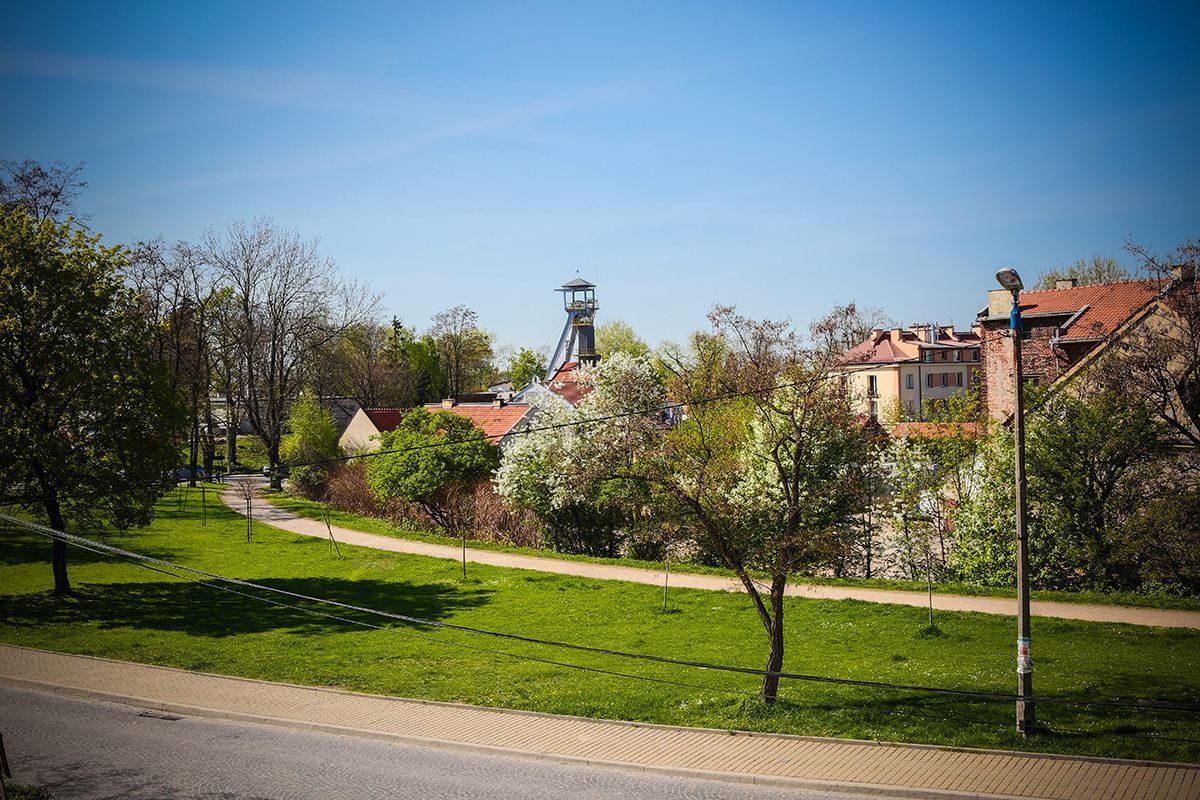 Zielony park i alejka na pierwszym planie, w tle domy z czerwonymi dachami i smukła metalowa wieża pod błękitnym niebem