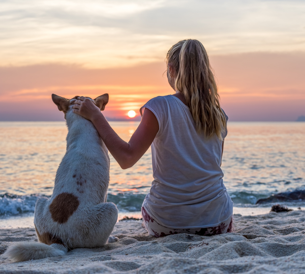 hotel przyjazny zwierzętom