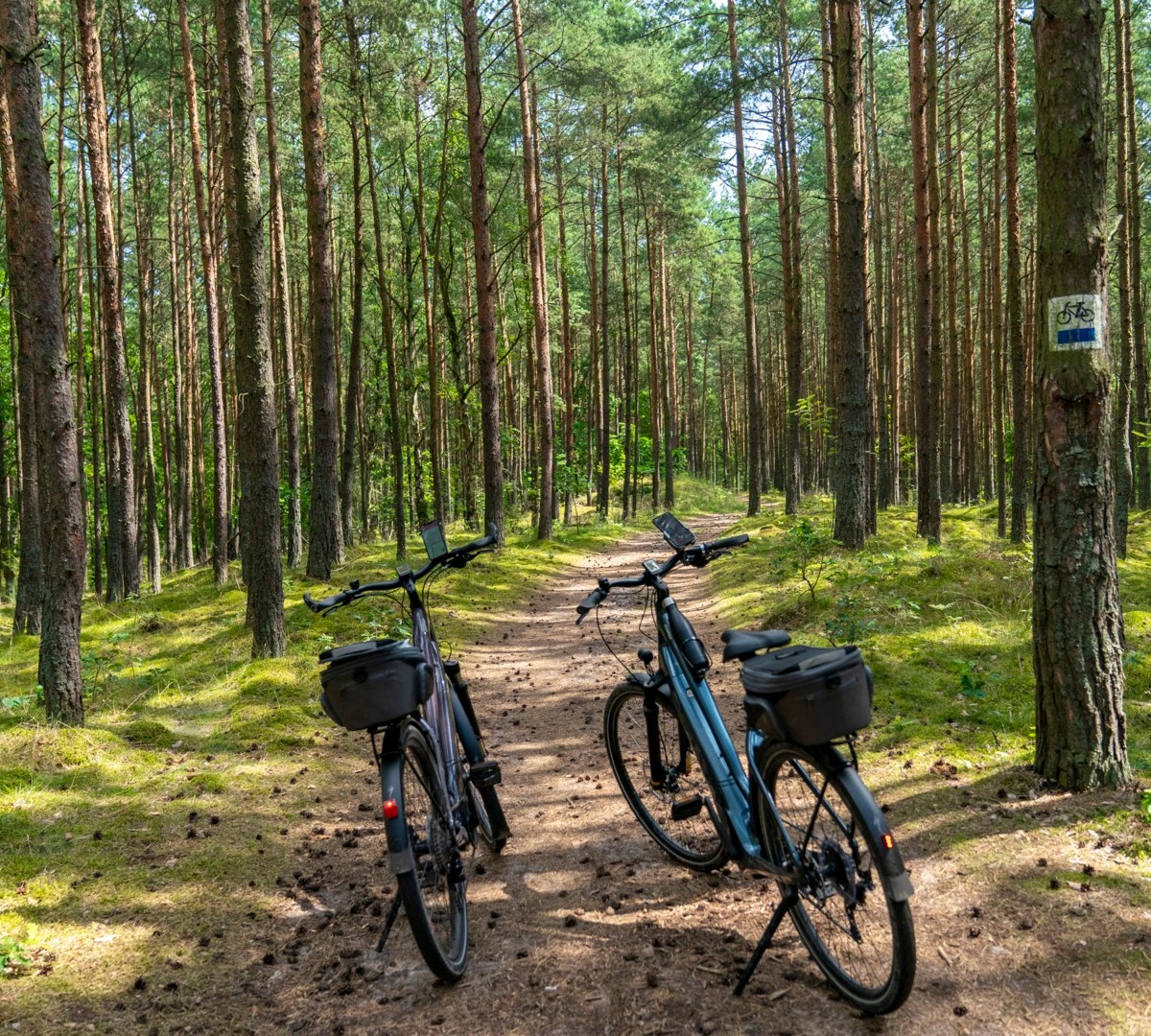atrakcje wyspy sobieszewskiej