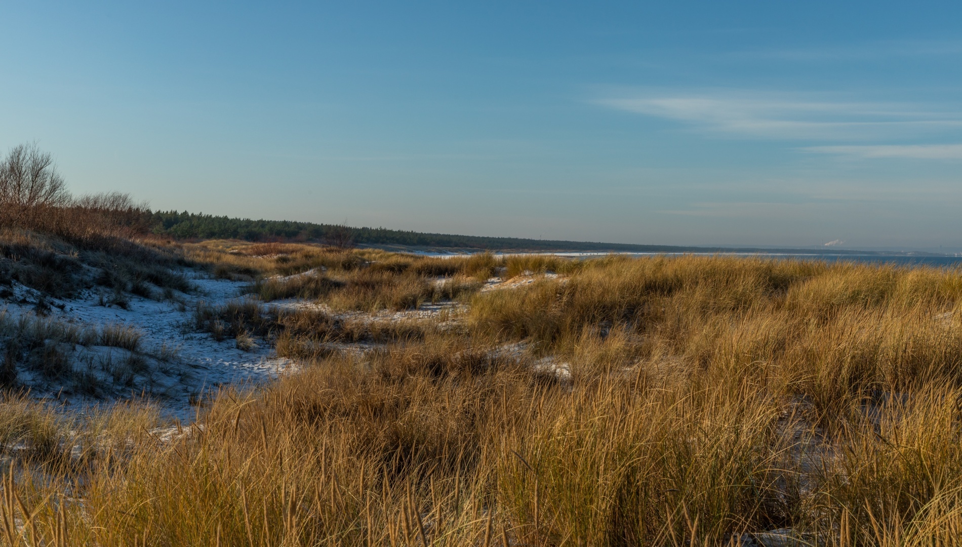 wild beach