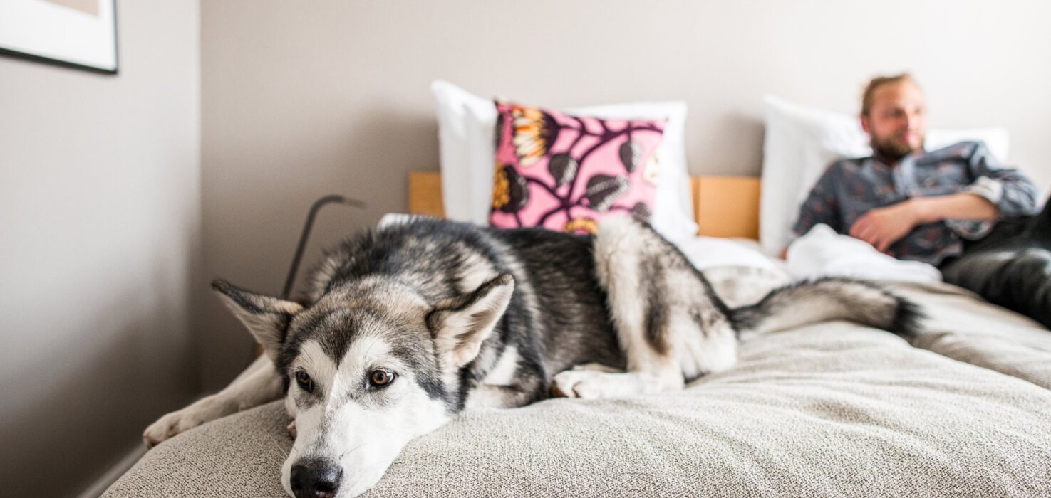 Hotel Helka welcomes your furry friends