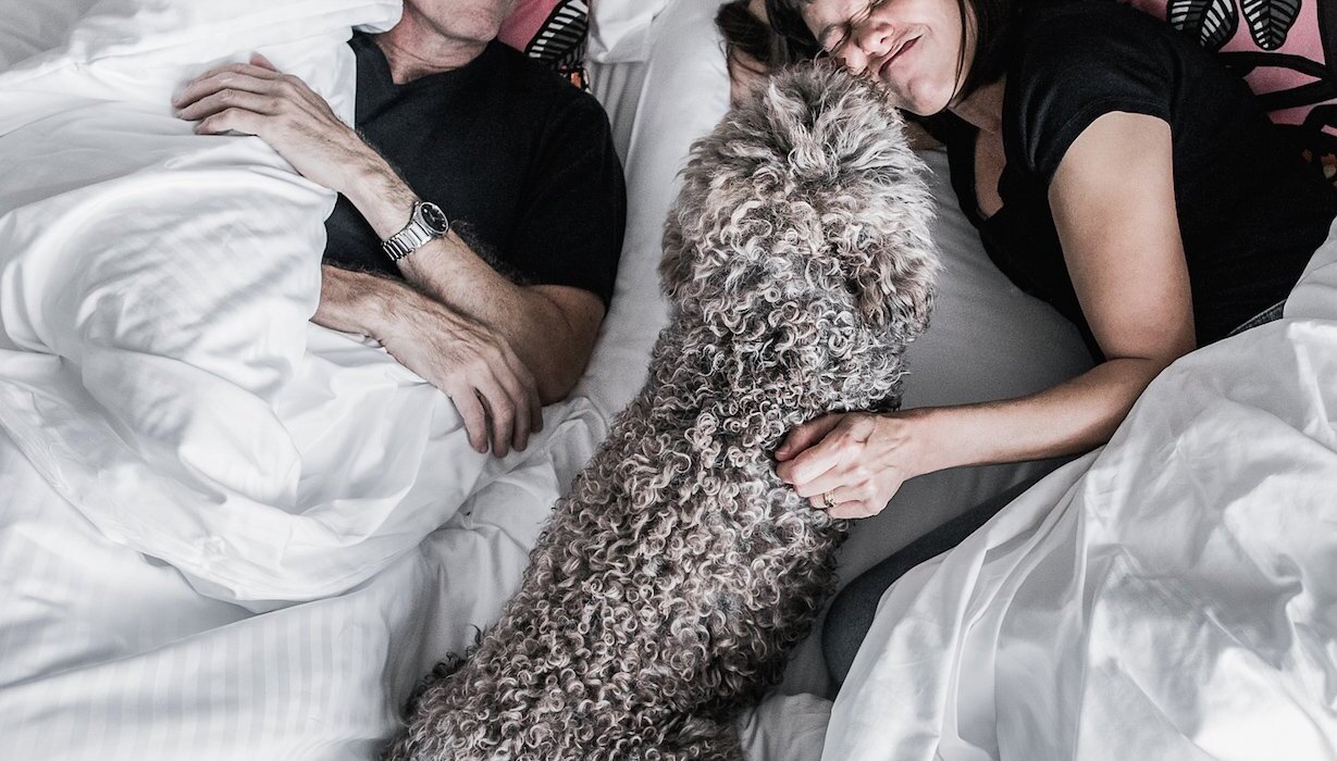 Hotel Helka welcomes your furry friends