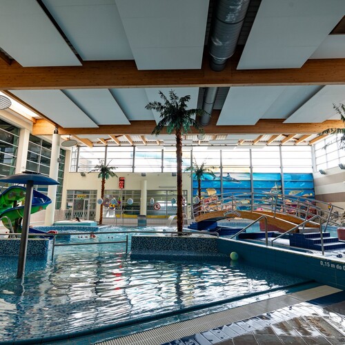 Indoor family pool with slide, mosaic pools, wooden beams, large windows, palms and decorative bridge.