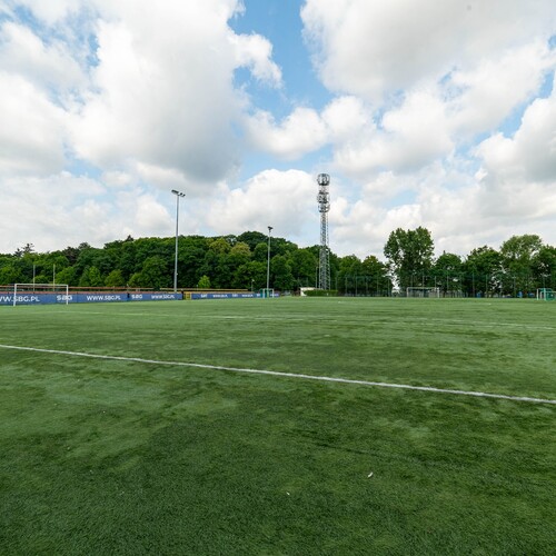 Football pitch with artificial grass, goals and tall floodlights, surrounded by trees under a vast cloudy sky