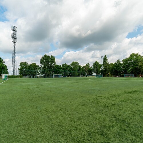 Outdoor pitch with synthetic grass, goals, tall floodlights and trees under a cloudy sky