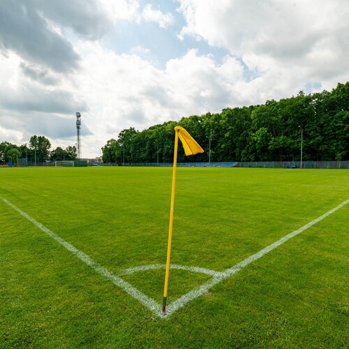 Well-kept football pitch with a yellow corner flag, goal to the right, surrounded by trees under a cloudy sky