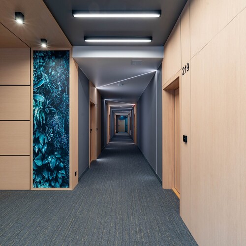 Modern hotel corridor with light wood panels, carpet, linear LED lighting, door (219) and blue botanical graphic.