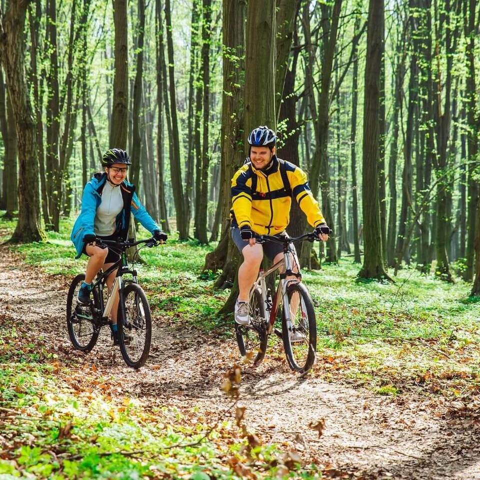 Uśmiechnięta para na rowerach mknie po słonecznej leśnej ścieżce między wysokimi drzewami
