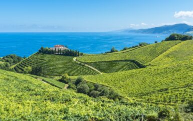 Weinberge auf sanften Hügeln mit Ausblick auf das blaue Meer, eine ruhige Villa umgeben von Bäumen und Küstenbergen im Hintergrund