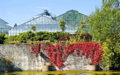 Moderne Glashäuser mit üppigem Grün und leuchtend roten Ranken, die über eine Betonmauer an einem Teich hängen