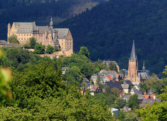 Historisches Schloss und Kirchturm mit Blick auf ein bewaldetes Dorf mit traditioneller europäischer Architektur