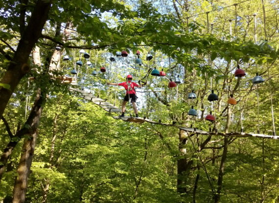 Gast mit Sicherheitsausrüstung überquert einen hohen Seilgarten inmitten eines grünen Waldes an sonnigem Tag