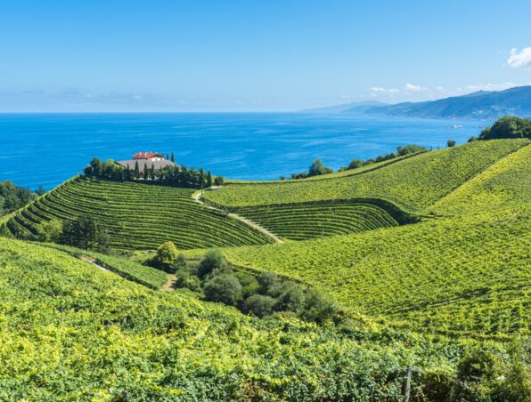 Weinberge auf sanften Hügeln mit Ausblick auf das blaue Meer, eine ruhige Villa umgeben von Bäumen und Küstenbergen im Hintergrund
