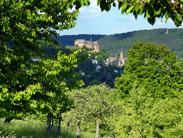 Historisches Schloss überblickt eine malerische Stadt, eingebettet in grüne Hügel unter blauem Himmel, eingerahmt von Blättern