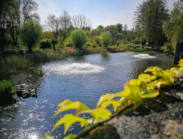 Ruhevoller Gartenteich mit sprudelnden Wasserspielen, umgeben von üppigem Grün und Bäumen unter klarem Himmel