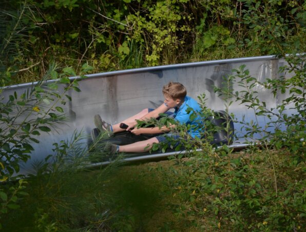 Junge in blauem Hemd fährt eine metallene Alpenrutsche, umgeben von dichtem grünen Laub