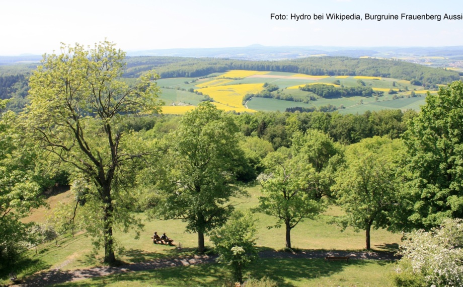 Paar auf Bank unter grünen Bäumen mit Panoramablick auf sanfte Hügel und gelbe Felder an einem sonnigen Tag