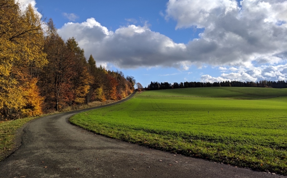 Geschwungene Landstraße neben herbstlichem Wald mit bunten Bäumen und grünen Feldern unter hellem blauem Himmel