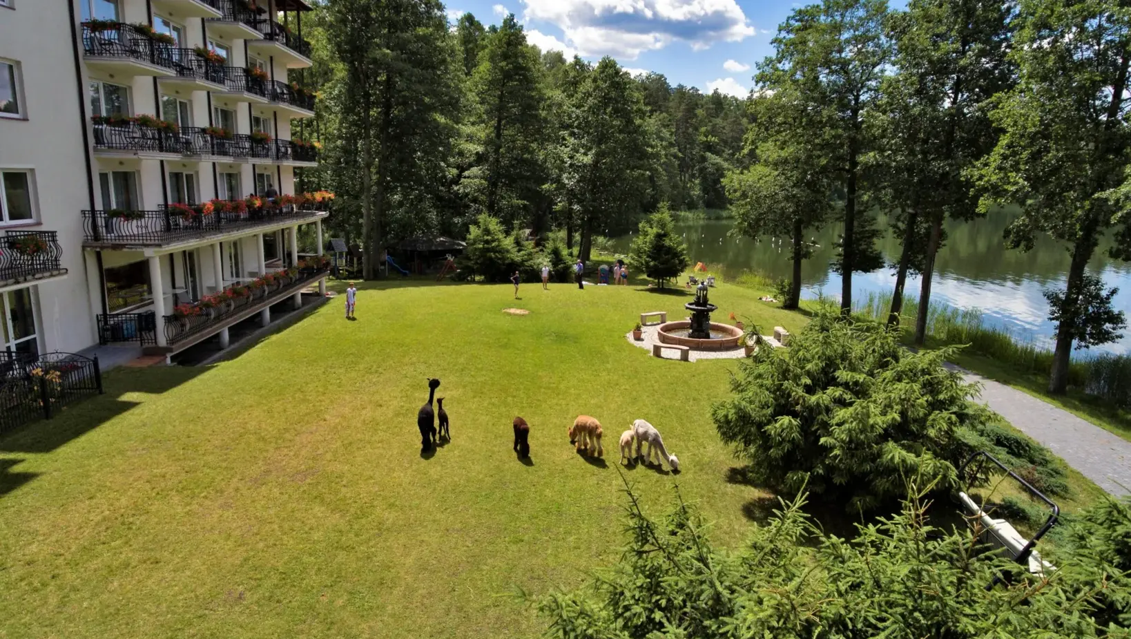 Ogród przy hotelu Nidzkim z alpakami
