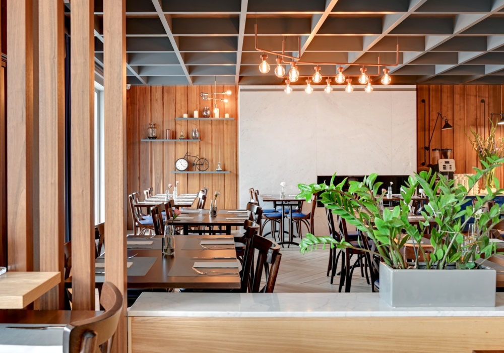 mamma mia zielona pietruszka