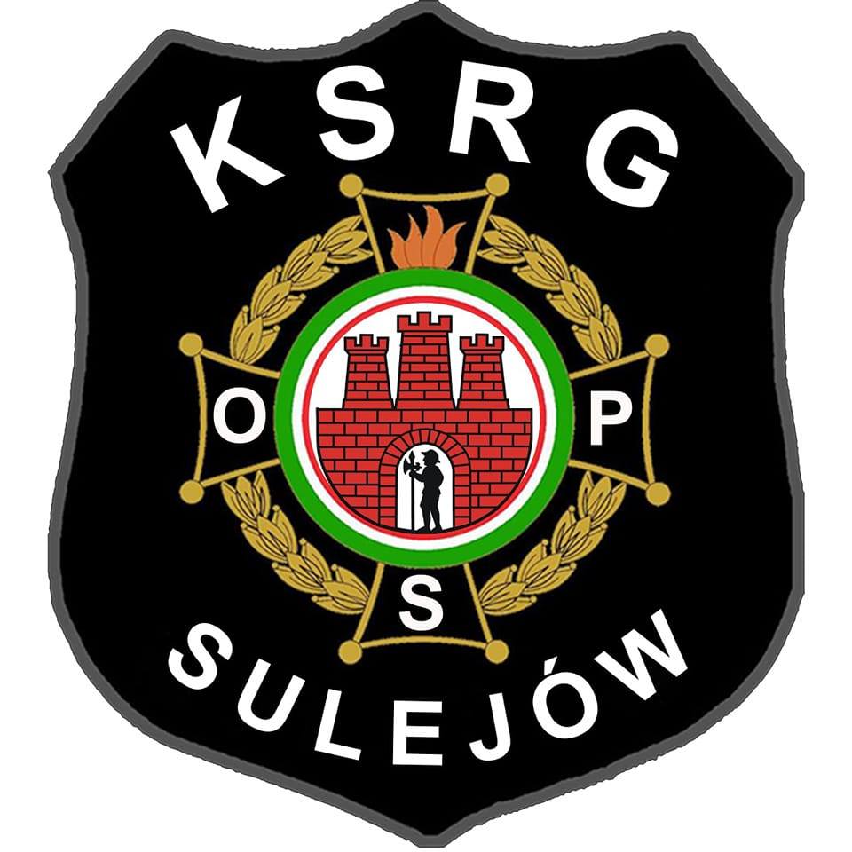 logo image