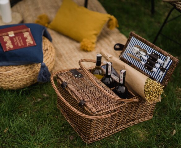 Organizacja pikników