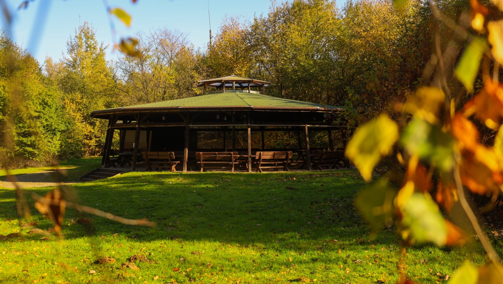 Drevená altánok s lavičkami a zelenou strechou v jesennom lese, trávnik na jedlá a podujatia.