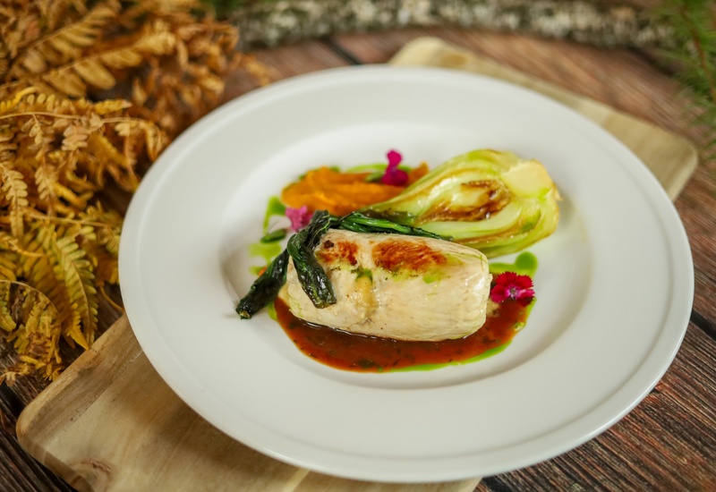 Smażana rolada z kurczaka z przypieczonym pak choi, pomarańczowym purée, ziołowym olejem i brązowym sosem, ozdobiona jadalnymi kwiatami