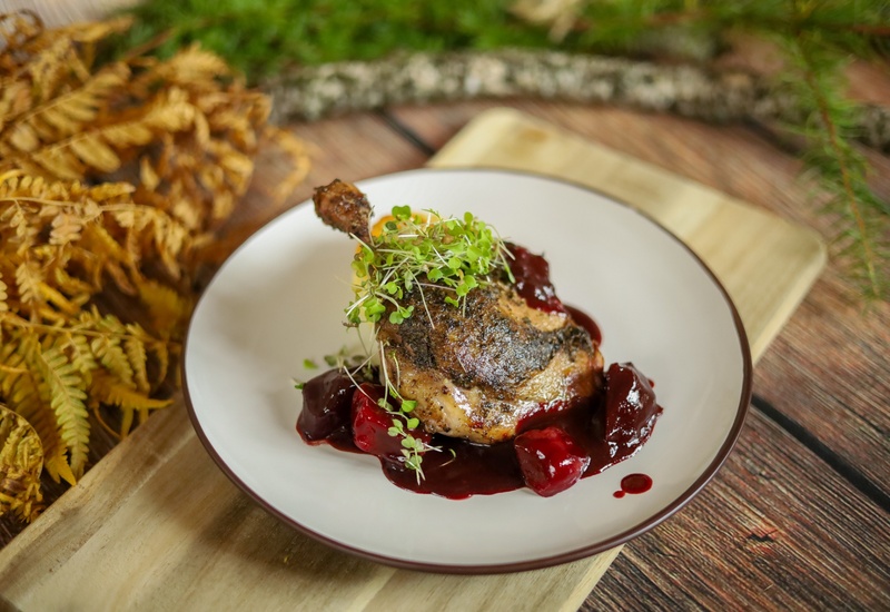 Chrupiąca nóżka kaczki w sosie wiśniowym z całymi wiśniami i kiełkami na białym talerzu, rustykalna jesienna sceneria
