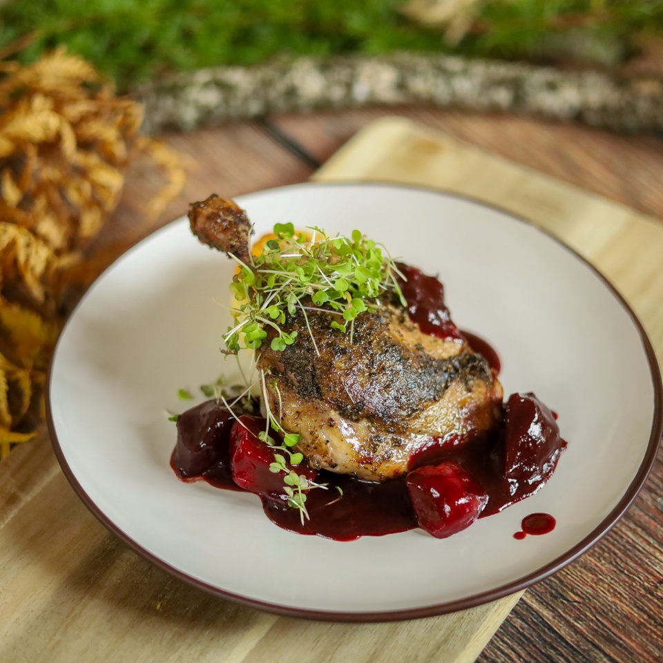 Chrumkavá kačacia stehno v višňovej omáčke s celými višňami a klíčkami na bielom tanieri, rustikálna jesenná scenéria