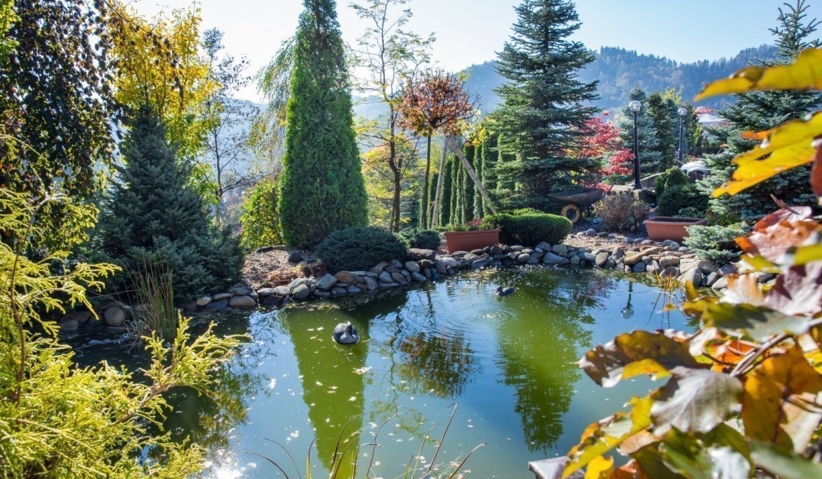 Hotelowy staw w zadbanym ogrodzie, otoczony iglakami i kamieniami, z malowniczym widokiem na góry