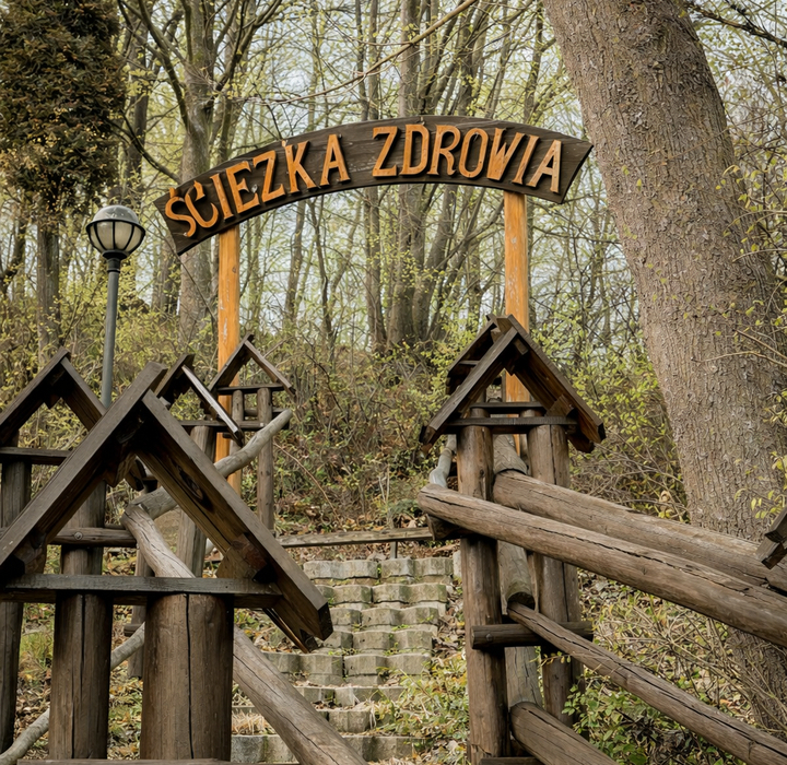 Drewniany portal Ścieżka Zdrowia nad kamiennymi schodami w wiosennym lesie, drewniane balustrady i latarnia.