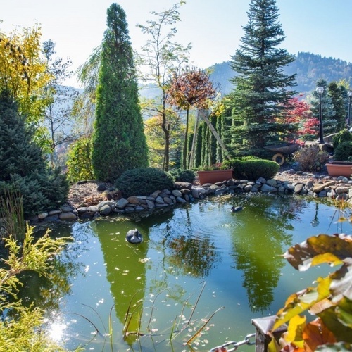 Hotelowy staw w zadbanym ogrodzie, otoczony iglakami i kamieniami, z malowniczym widokiem na góry