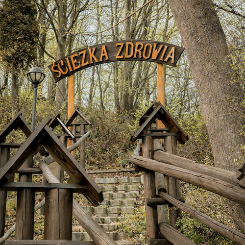 Drewniany portal Ścieżka Zdrowia nad kamiennymi schodami w wiosennym lesie, drewniane balustrady i latarnia.