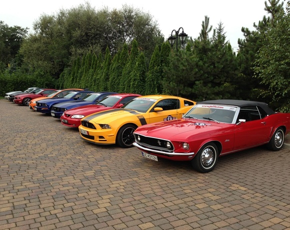 Lineup of colorful classic and modern Ford Mustangs parked on cobblestone drive beside tall green hedges