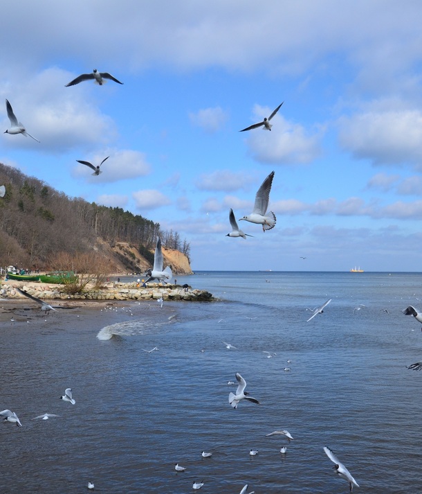 Taras nadmorskiego hotelu nad piaszczystą plażą i klifem, łodzie przy brzegu, mewy krążą nad spokojnym morzem.