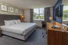 Spacious king room with white linens, patterned wallpaper, bedside lamp, wooden desk and chair, wall TV and leafy window view