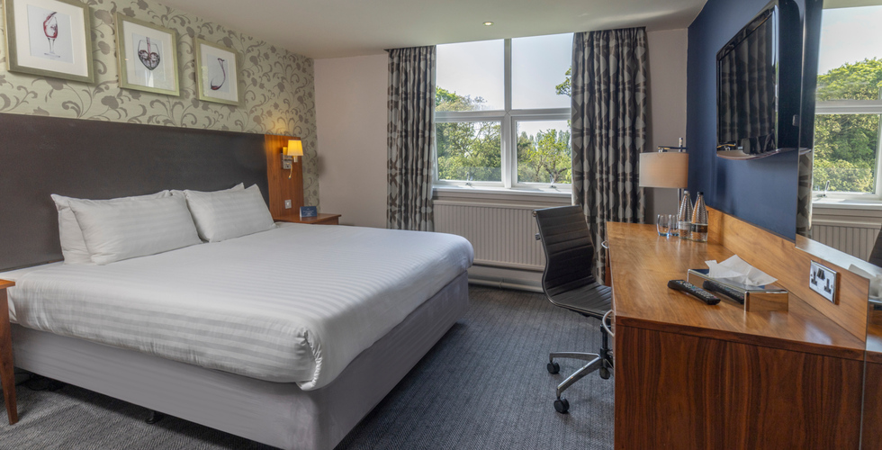 Spacious king room with white linens, patterned wallpaper, bedside lamp, wooden desk and chair, wall TV and leafy window view