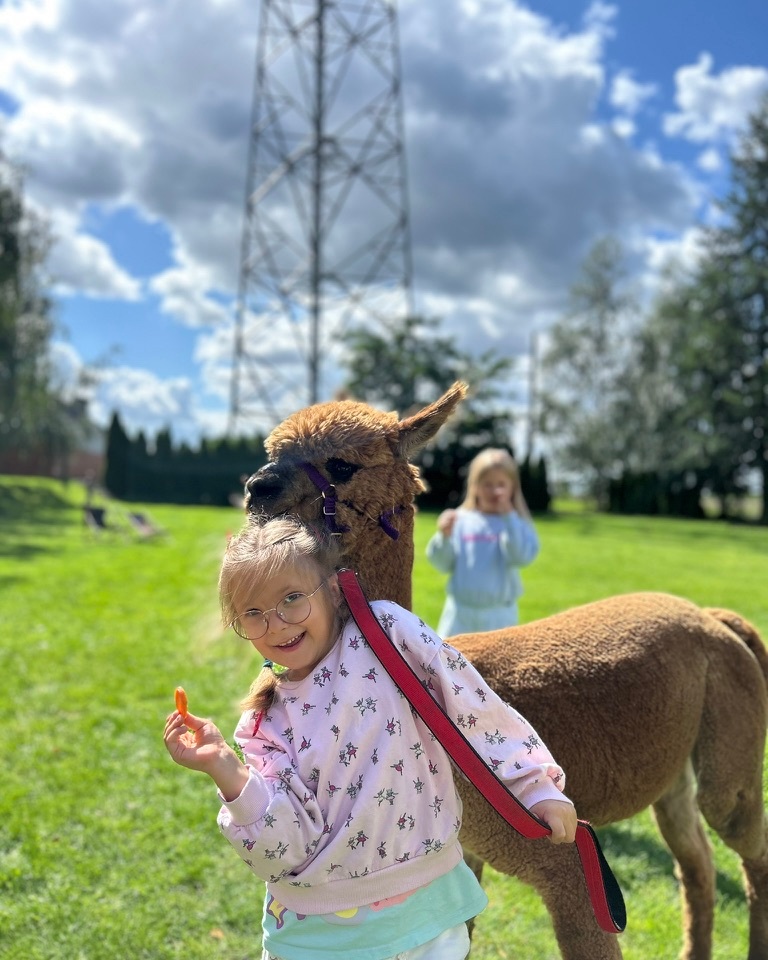 Smiling girl holding a brown alpaca on a red leash in a sunny grassy park, another child blurred in background